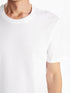 LC Waikiki Crew Neck Short Sleeve Combed Cotton Men's T-shirt